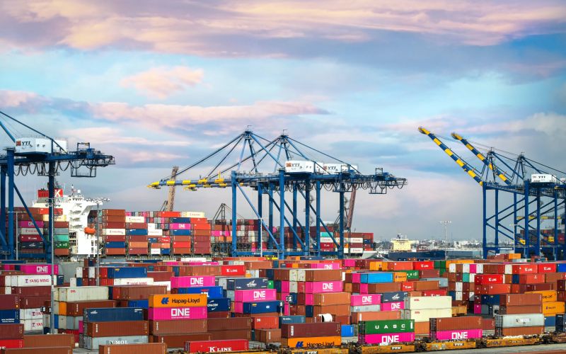 How Can You Navigate Supply Chain Disruptions?